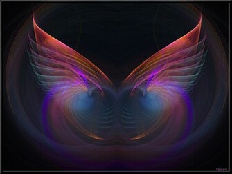 Funky Pigeon Desktop Wallpaper