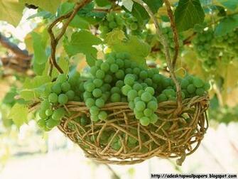 Grape Fruit Desktop Wallpaper Pc