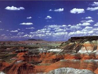 Petrified Forest California Family Vacati