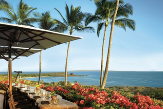 Lush Lovely Lanai Gio Journal