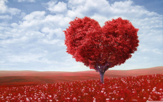 Valentines Desktop Wallpaper