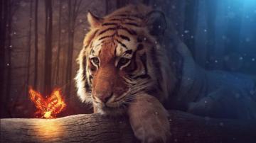 Tiger Butterfly 8k Wallpaper