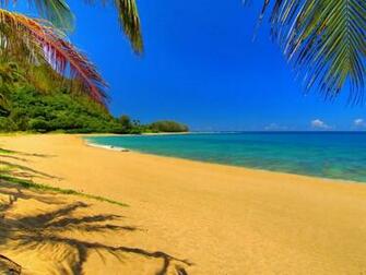 Cool Summer Wallpaper