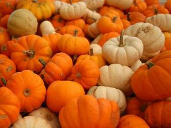 Wallpaper Pumpkin