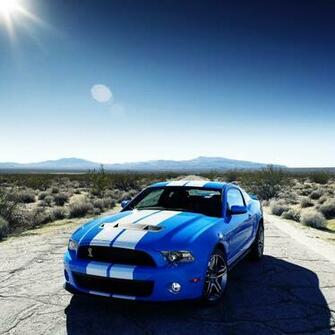 Blackberry Passport Wallpaper Desert Mustang