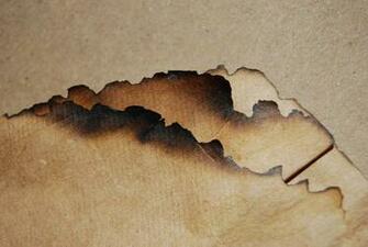 Glass Ground Ink Leaf Medical Metal Nature Paint Paper