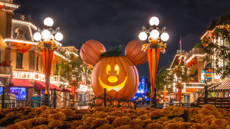 Pictures Anaheim California Disneyland Usa Pumpkin