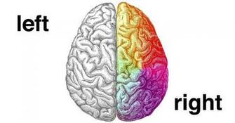 Left Brain Right Wallpaper