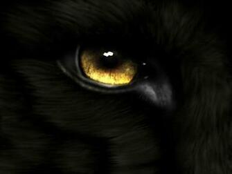 Animal Eye Gold Wolf Wallpaper Eyes