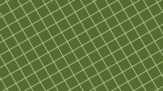 Olive Greenaesthetic Desktop Wallpaper Top