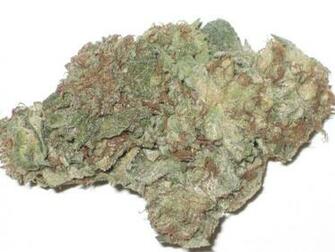 Og Kush Wallpaper