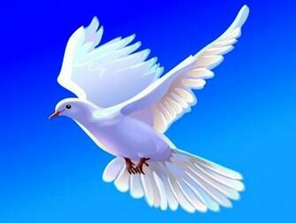 Dove Doves Wallpaper