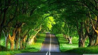 Summer Roads Wallpaper Desktop