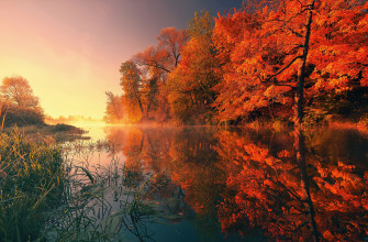 Trees Fall Reflection Autumn 4k Wallpaper HD Nature