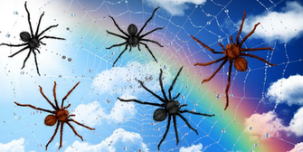 Spider Live Wa Screenshot Thumbnail