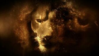 HD Lion Wallpaper