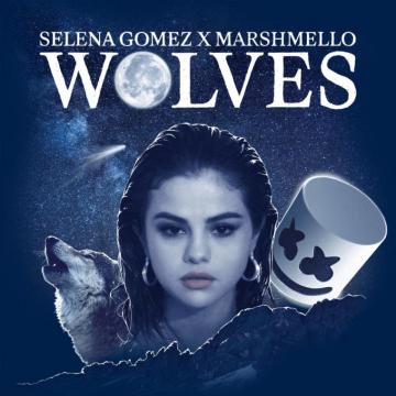 Selena Gomez Marshmello Wolves Video