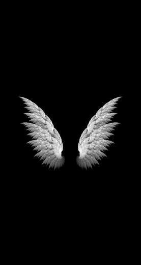 Wings iPhone Wallpaper Top Background