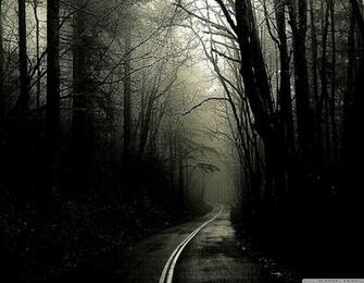 Black Forest Wallpaper Cool HD