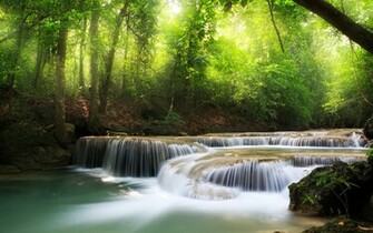 Waterfall Forest Tree River Nature