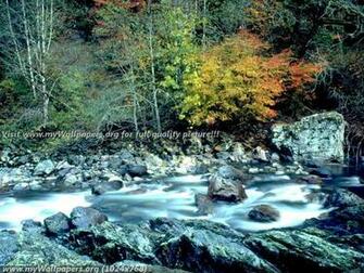 Wallpaper Autumn