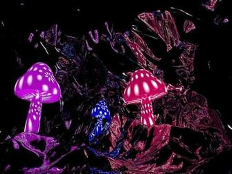 Mushroom Wallpaper Magic HD