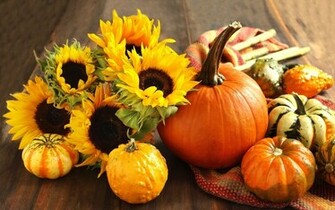 Pumpkin Fruit And Sunflower Wallpaper HD With