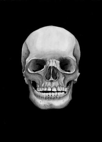 Skull Head Wallpaper