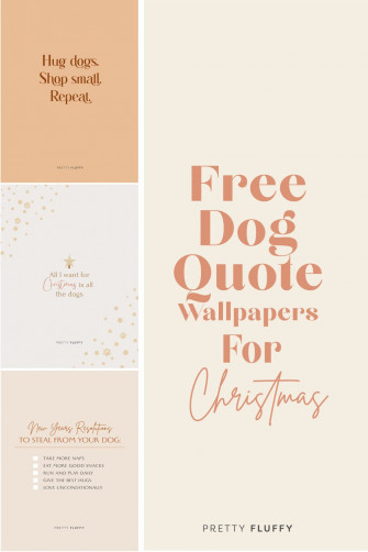 New Years Resolutions To Steal From Your Dog Year