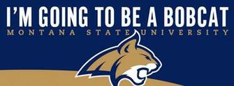 Covers Web And Digital Communications Montana State University