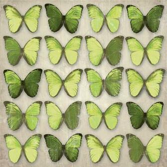 Green Butterflies