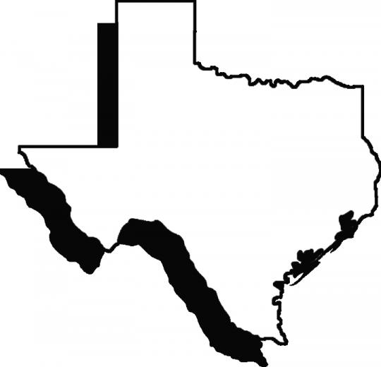 Texas State Wallpaper Snap