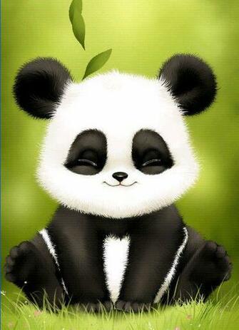 Best Panda Wallpaper Image
