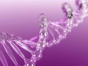 Wallpaper Para Pc Variaditos Recargado Autos Chidos