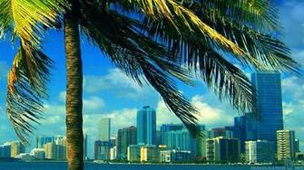Miami Wallpaper
