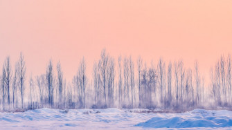 Best Winter Pictures Image Stock