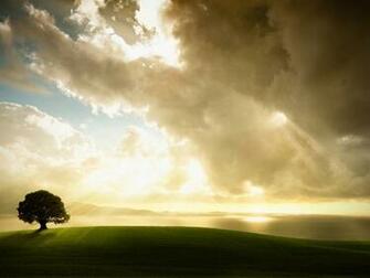 Stormy Weather