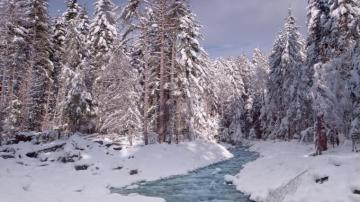 Nature Winter Snow National Park Washington Mount Rainier