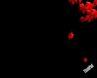 Thinkpad Maple Computer Wallpaper Desktop Full HD