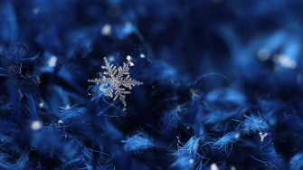 Snowflake HD Wallpaper