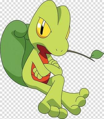 Green Grass Treecko Grovyle Sceptile Torchic Video Games