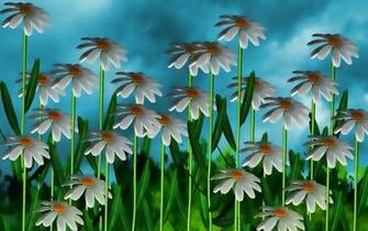 3d Flower X Close