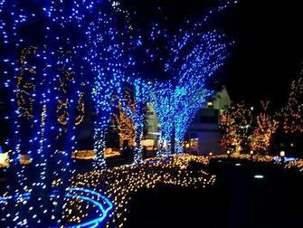 Bright Christmas Lights Colors Wallpaper