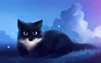 Cat Computer Wallpaper