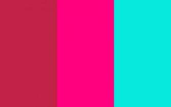 The Color Neon Pink For