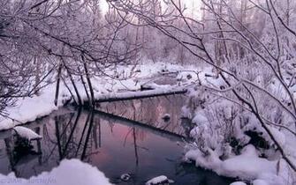 Snowscape Wallpaper