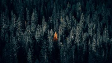 Wallpaper 4k Autumn Forest Aerial Contrast Dark