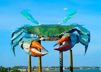 Big Blue Crab Wallpaper