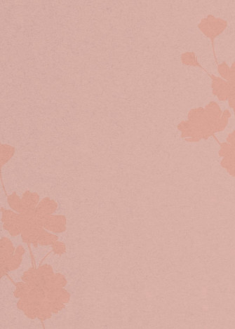 Aesthetic Minimalist Flower Background Image Wallpaper