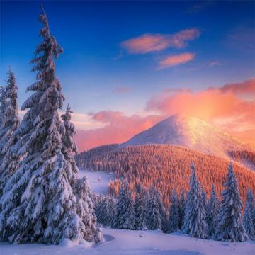 Best Snow iPad Pro HD Wallpaper
